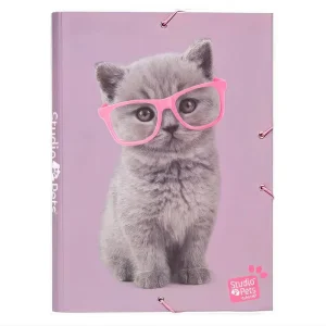 Studio Pets Cats A4 Elastic Folder