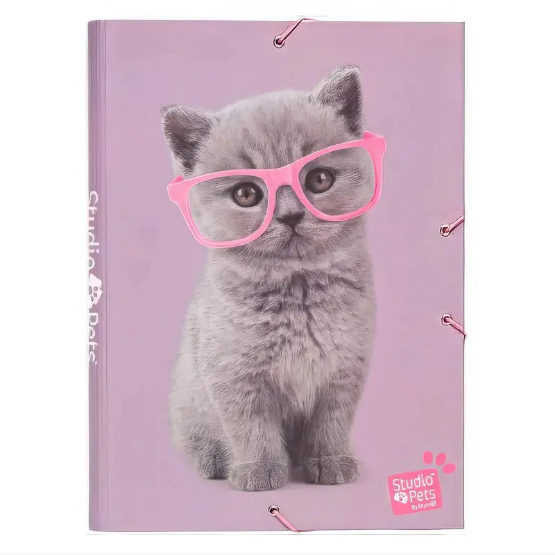 Studio Pets Cats A4 Elastic Folder